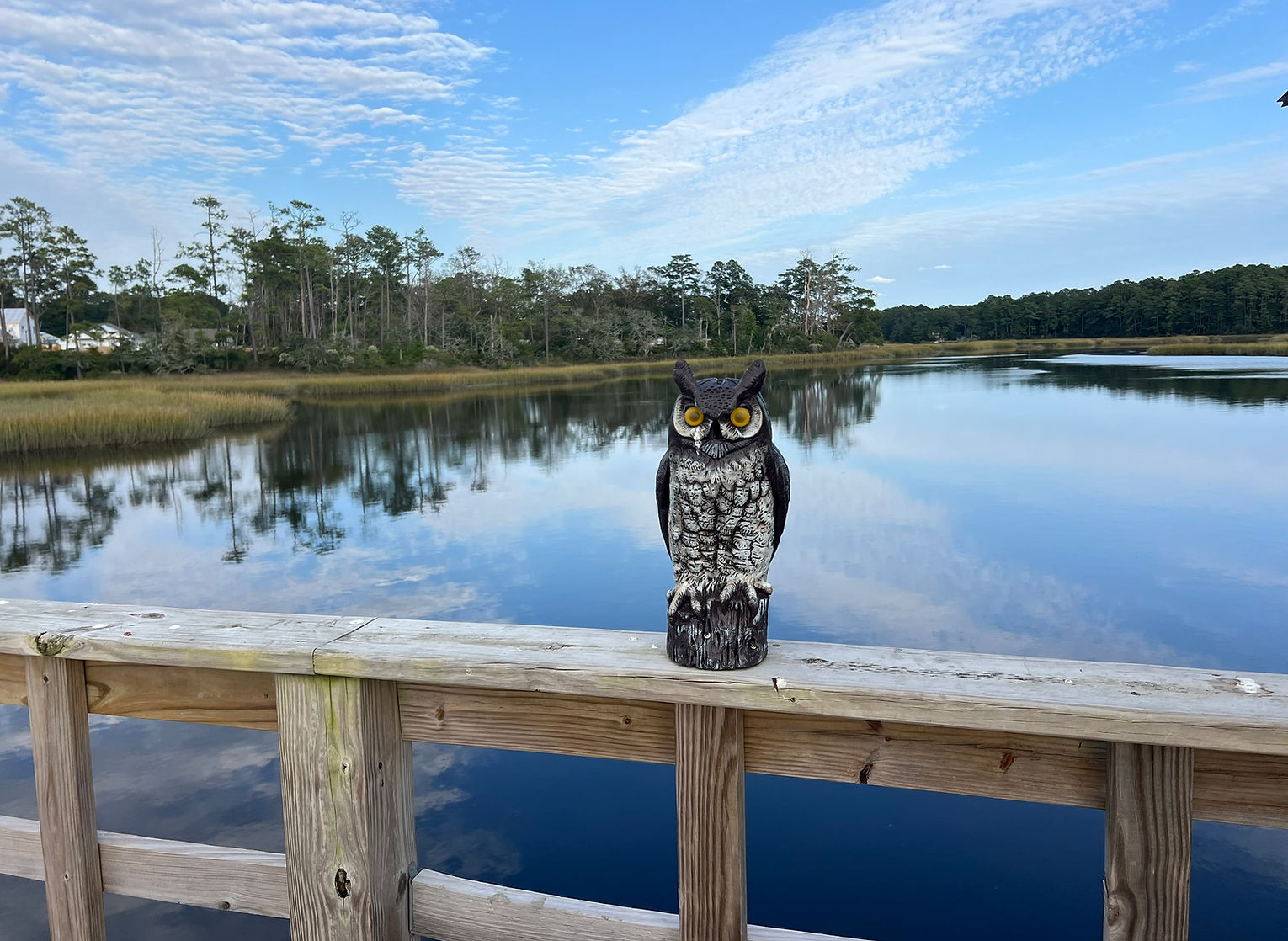 Real Estate Development